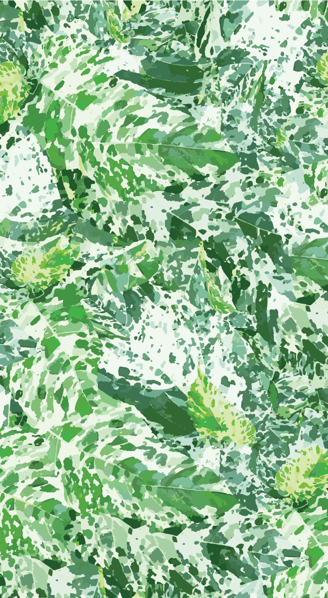 Variegated Plant Patterns